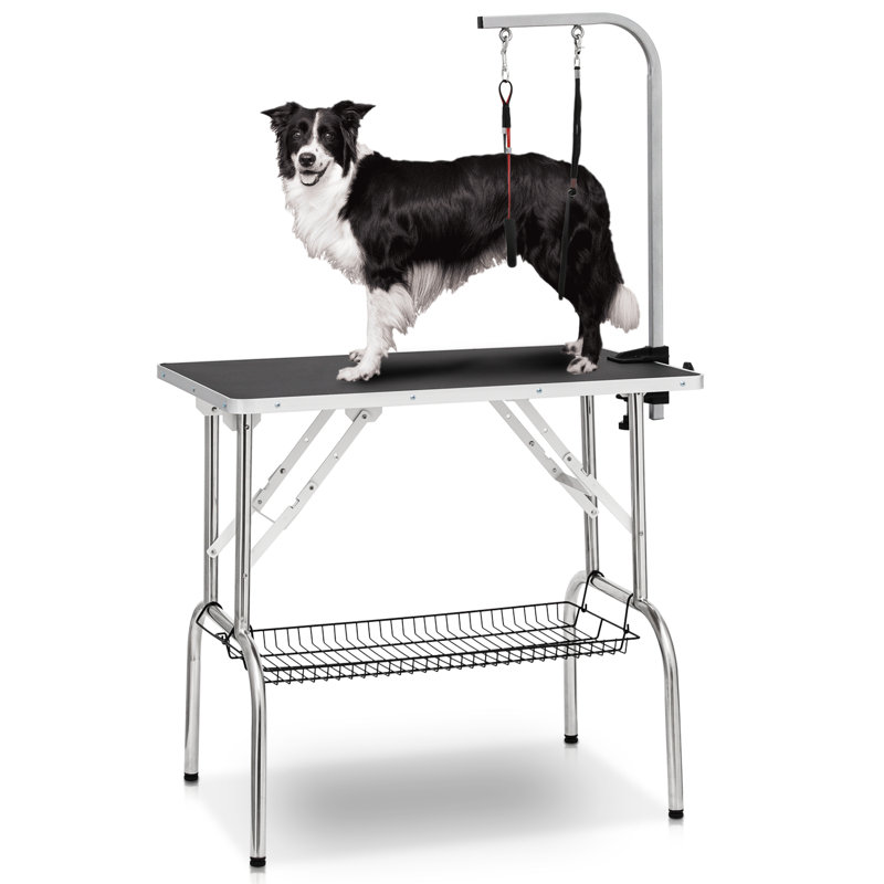 Dog shops grooming table accessories